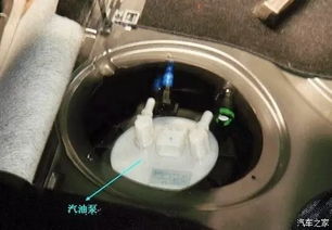保养汽车油箱汽油多少